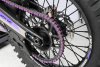 Мотоцикл Sanchez Fury NB300