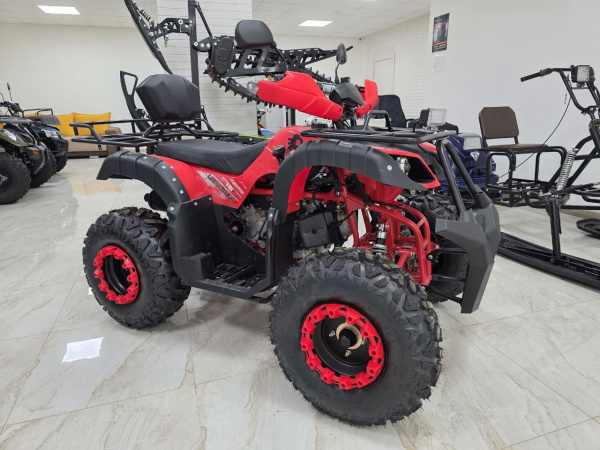 Квадроцикл Rmoto Lion 200 LITE