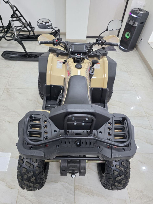 Квадроцикл Rmoto Lion 200 X PRO