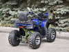 Квадроцикл Rmoto Lion 200 X PRO