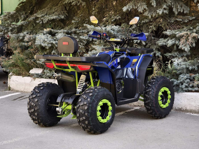 Квадроцикл Rmoto Lion 200 А