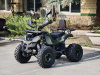 Квадроцикл Rmoto Lion 125 СС