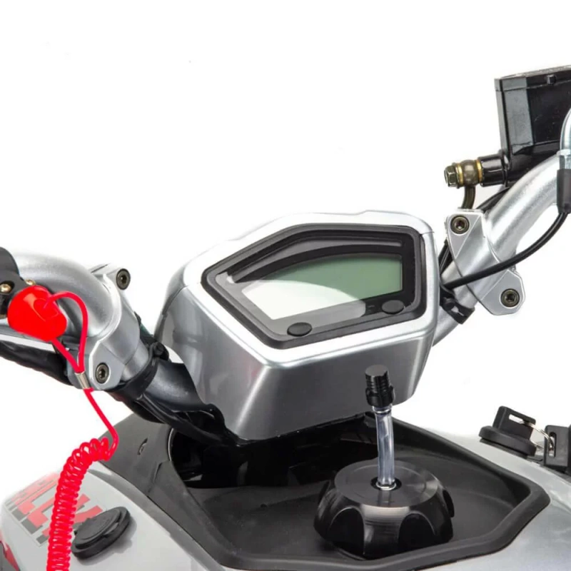 Квадроцикл Motoland 250 RALLY