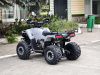 Квадроцикл Rmoto Lion 125 RR