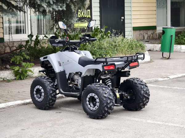 Квадроцикл Rmoto Lion 125 RR