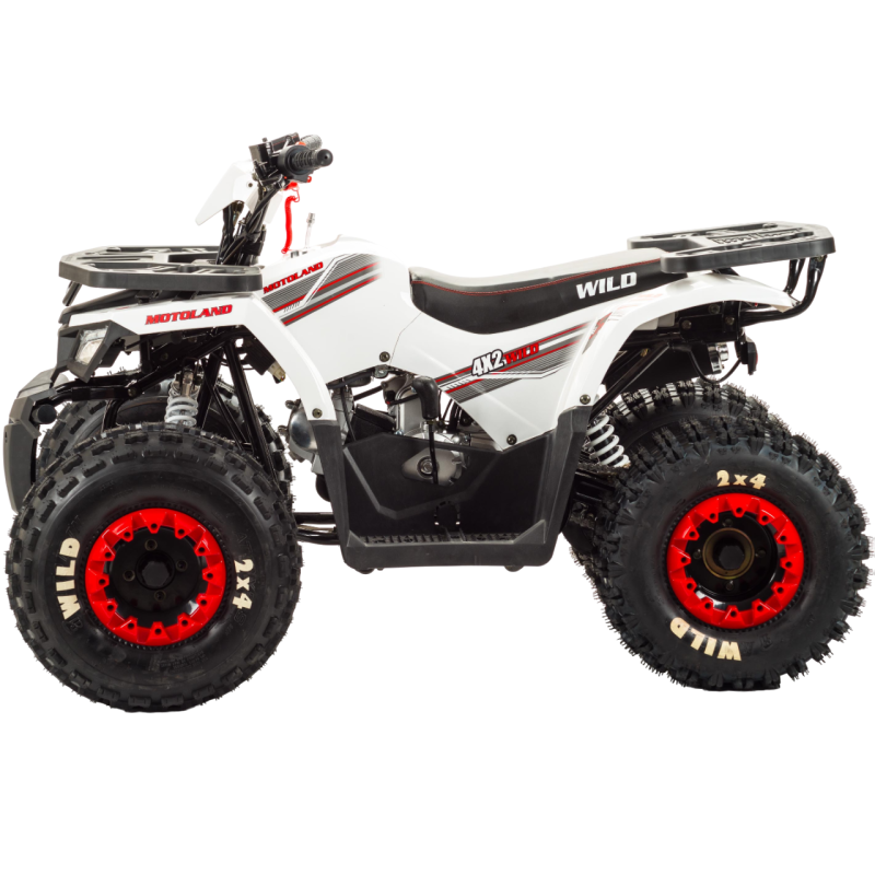 Квадроцикл Motoland WILD 125 