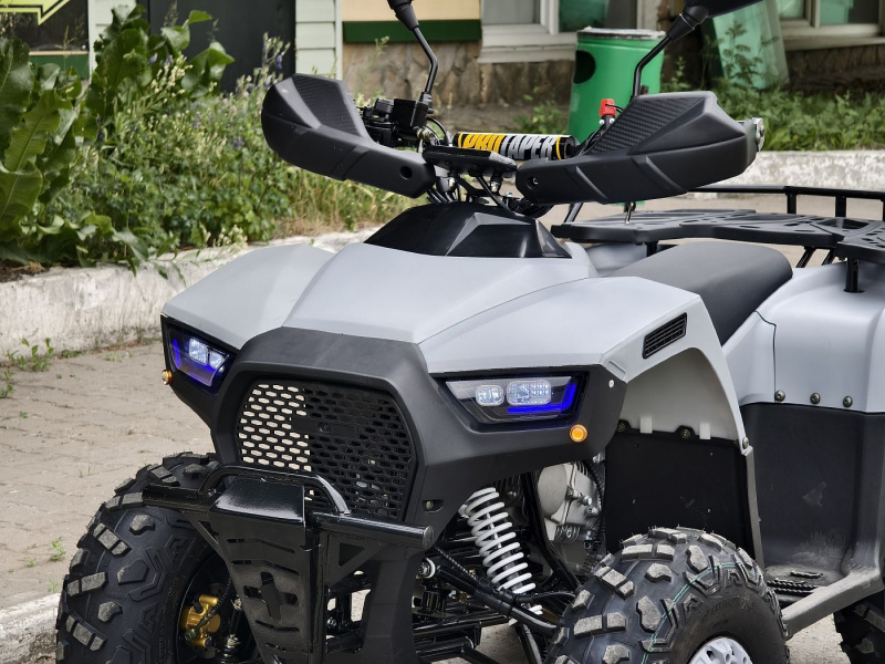 Квадроцикл Rmoto Lion 125 RR