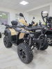 Квадроцикл Rmoto Lion 200 X PRO