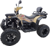 Квадроцикл Rmoto Lion 200 X PRO