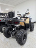 Квадроцикл Rmoto Lion 200 X PRO