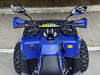 Квадроцикл Rmoto Lion 200 R