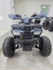 Квадроцикл Motoland WILD 125 