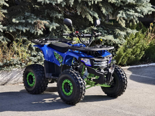 Квадроцикл Rmoto Lion 125 A LITE