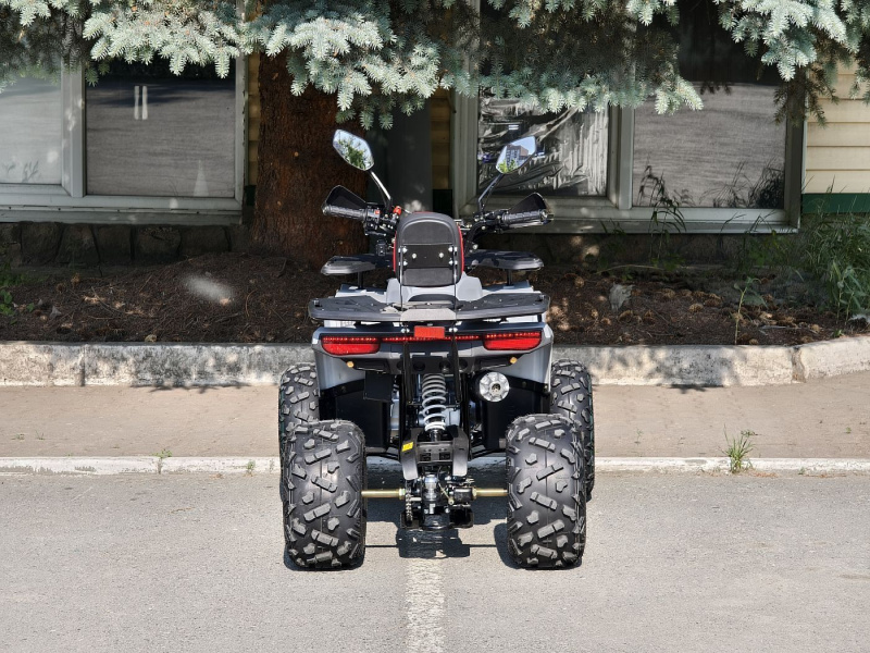 Квадроцикл Rmoto Lion 130 RR