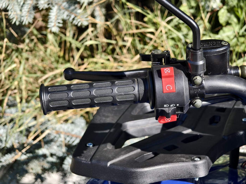 Квадроцикл Rmoto Lion 125 A