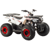 Квадроцикл Motoland WILD 125 