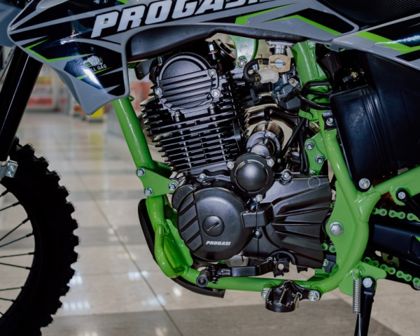 Мотоцикл Progasi PALMA 300 (ZS-175 FMM -CB300F)