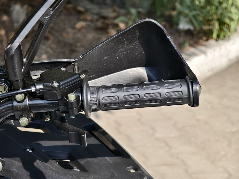 Квадроцикл Rmoto Lion 130 RR