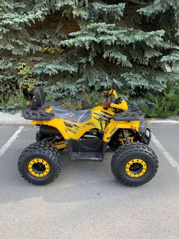 Квадроцикл Rmoto Lion 125 AR