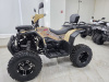 Квадроцикл Rmoto Lion 200 X PRO