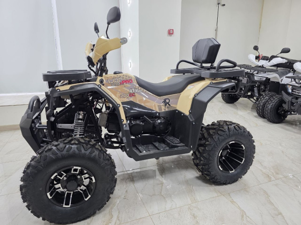 Квадроцикл Rmoto Lion 200 X PRO