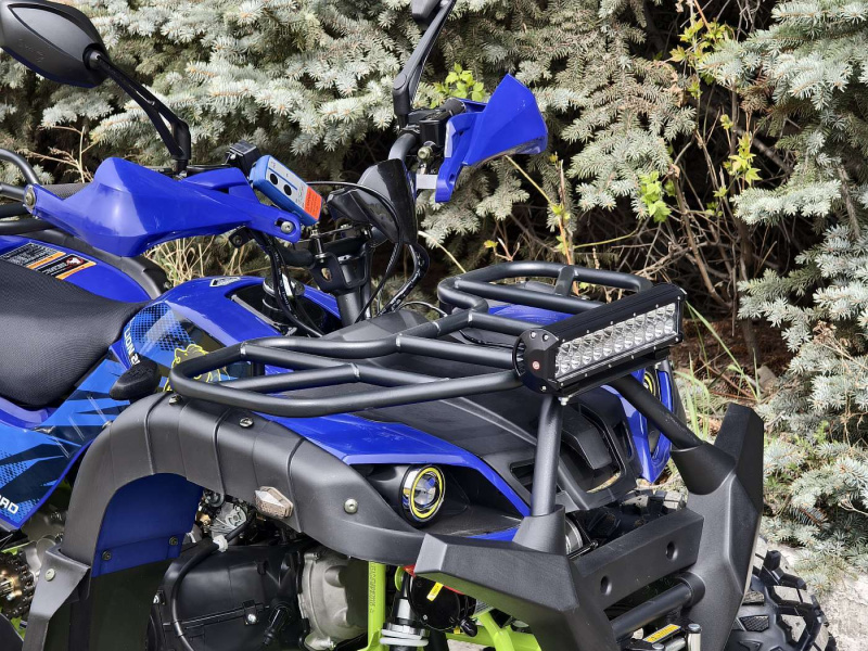 Квадроцикл Rmoto Lion 200 X PRO