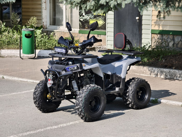 Квадроцикл Rmoto Lion 130 RR