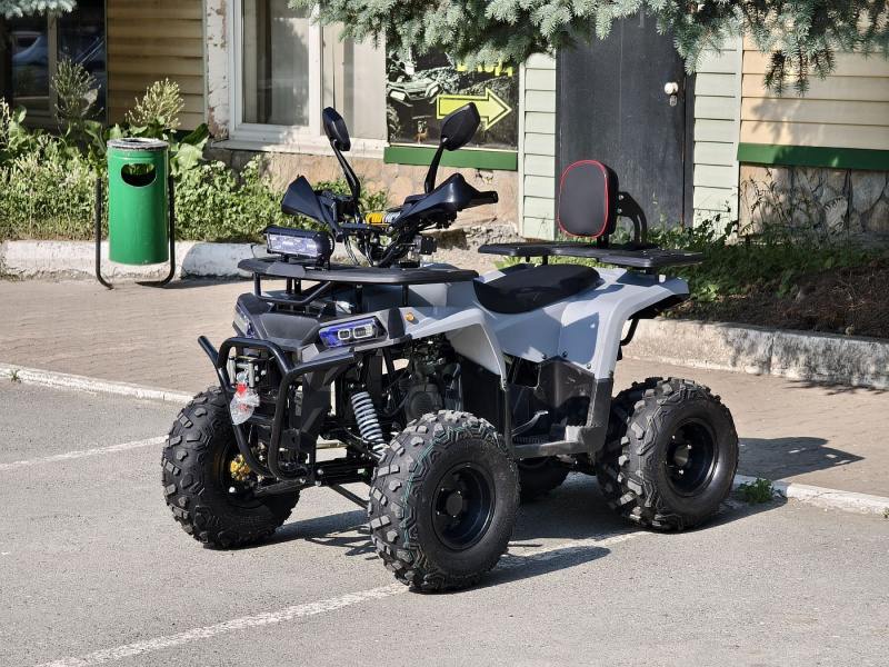 Квадроцикл Rmoto Lion 130 RR