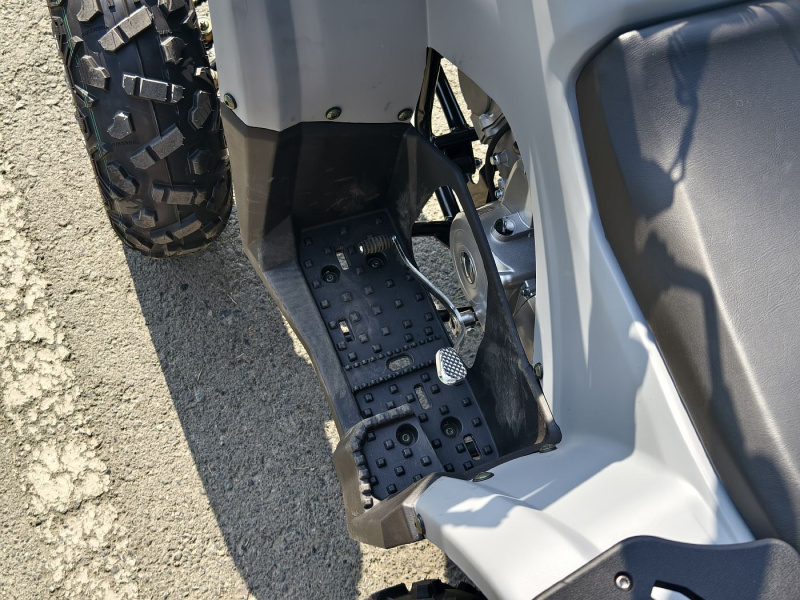 Квадроцикл Rmoto Lion 125 AА