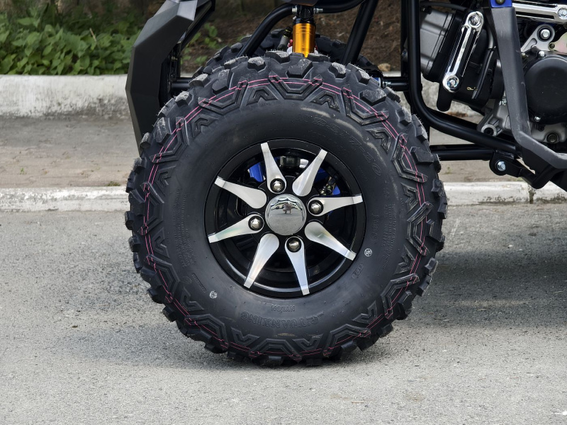 Квадроцикл Rmoto Lion 200 R