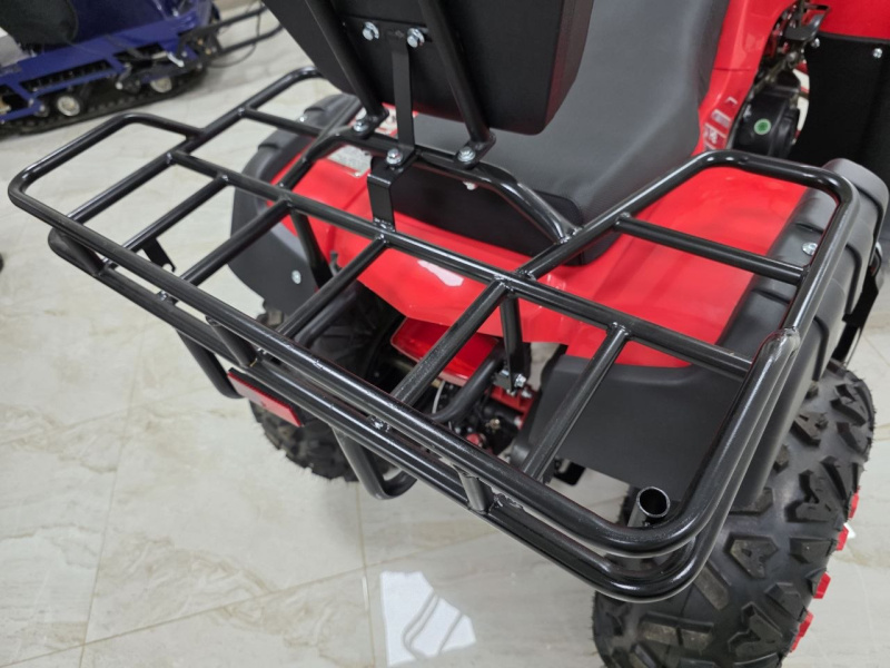 Квадроцикл Rmoto Lion 200 LITE
