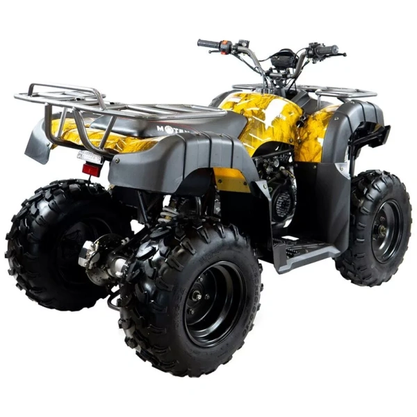 Квадроцикл бензиновый MOTAX GRIZLIK T 200  LUX