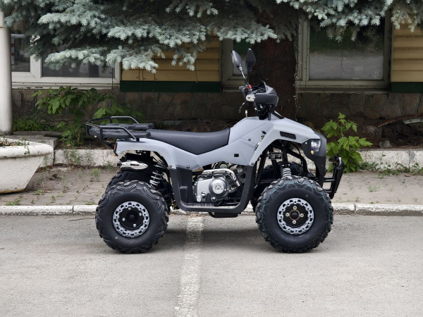 Квадроцикл Rmoto Lion 125 RR