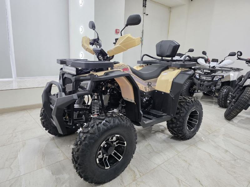Квадроцикл Rmoto Lion 200 X PRO