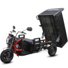 Трицикл WHITE SIBERIA SIBTRIKE PRO CARGO (2025)
