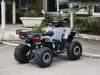 Квадроцикл Rmoto Lion 125 RR
