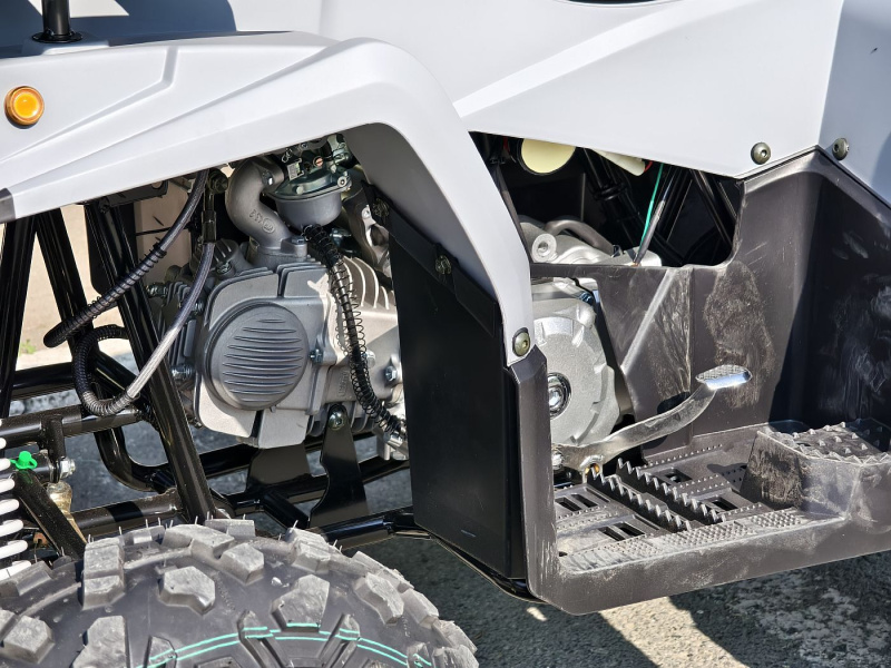 Квадроцикл Rmoto Lion 130 RR