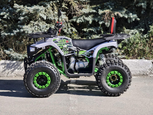 Квадроцикл Rmoto Lion 125 AR PRO