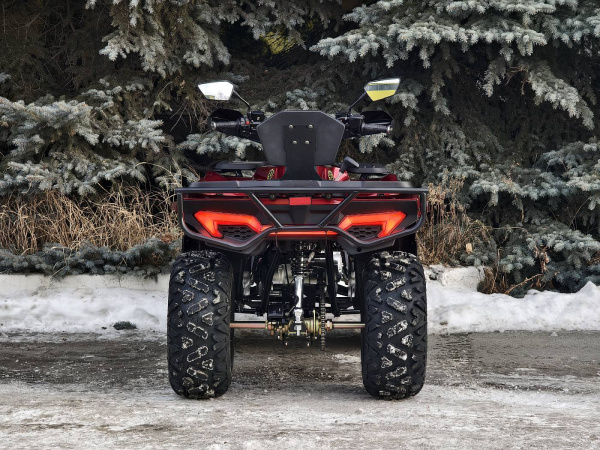 Квадроцикл Rmoto Lion King 200 