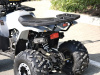 Квадроцикл Rmoto Lion 125 AА