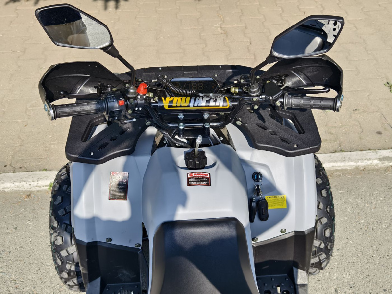 Квадроцикл Rmoto Lion 125 AА