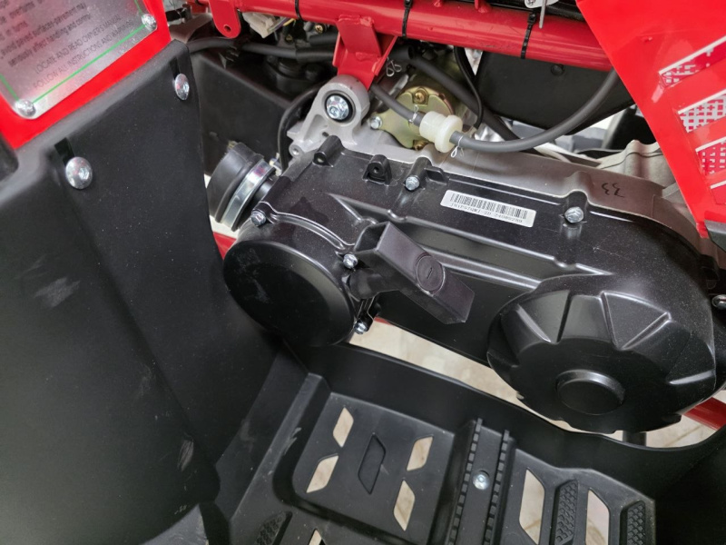 Квадроцикл Rmoto Lion 200 LITE