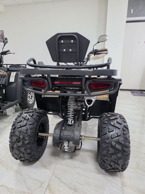 Квадроцикл Rmoto Lion 200 X PRO