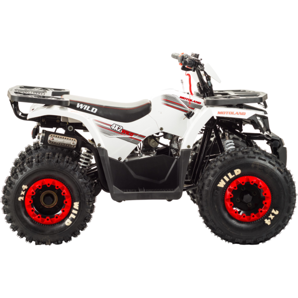 Квадроцикл Motoland WILD 125 