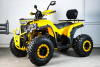 Квадроцикл SPRMOTORS ATV Blade- 200V