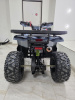 Квадроцикл Motoland WILD 125 