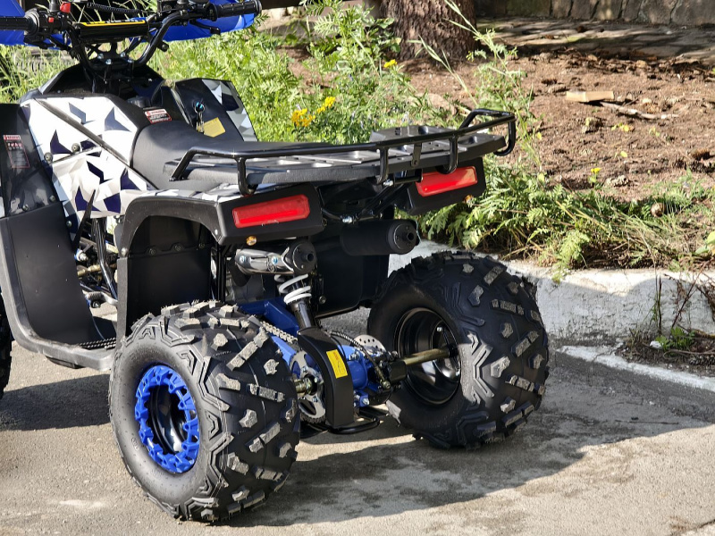 Квадроцикл Rmoto Lion 125 RR