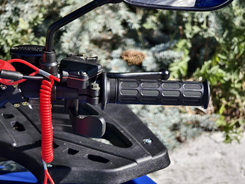 Квадроцикл Rmoto Lion 125 A