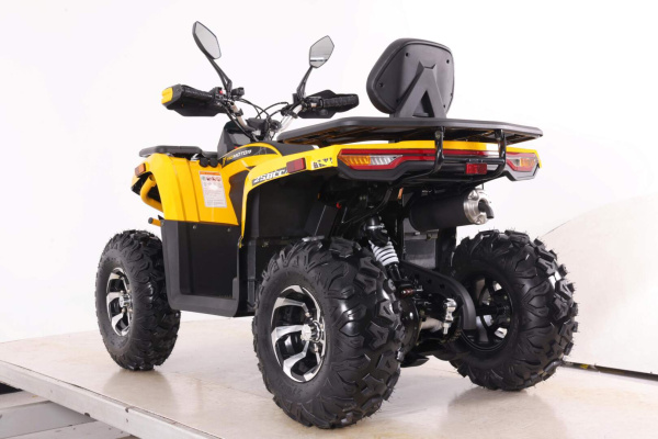 Квадроцикл Motoland  VOX250 WILD TRACK X PLUS