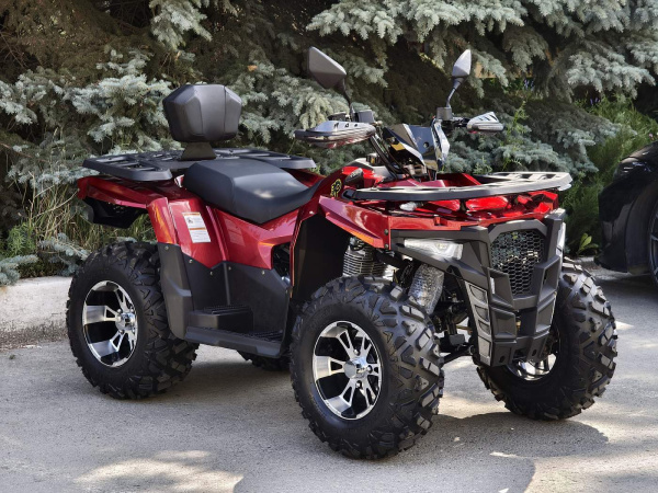 Квадроцикл Rmoto Lion King 200 